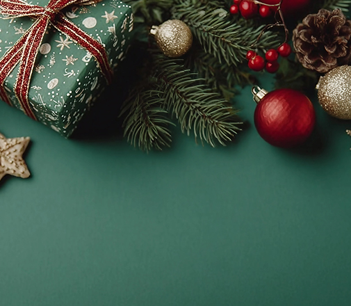 12월22일 ~ 1월31일 패키지 이용 안내