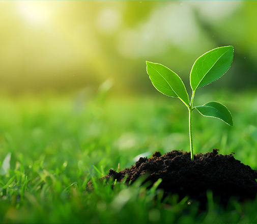 동계 수목
식재작업 안내